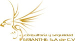 Consultoria y Seguridad Erianthe
